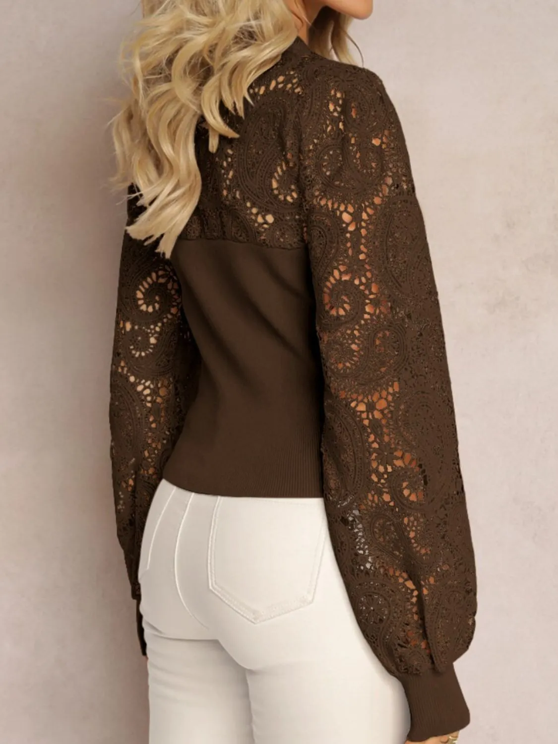 Lace Round Neck Long Sleeve Top