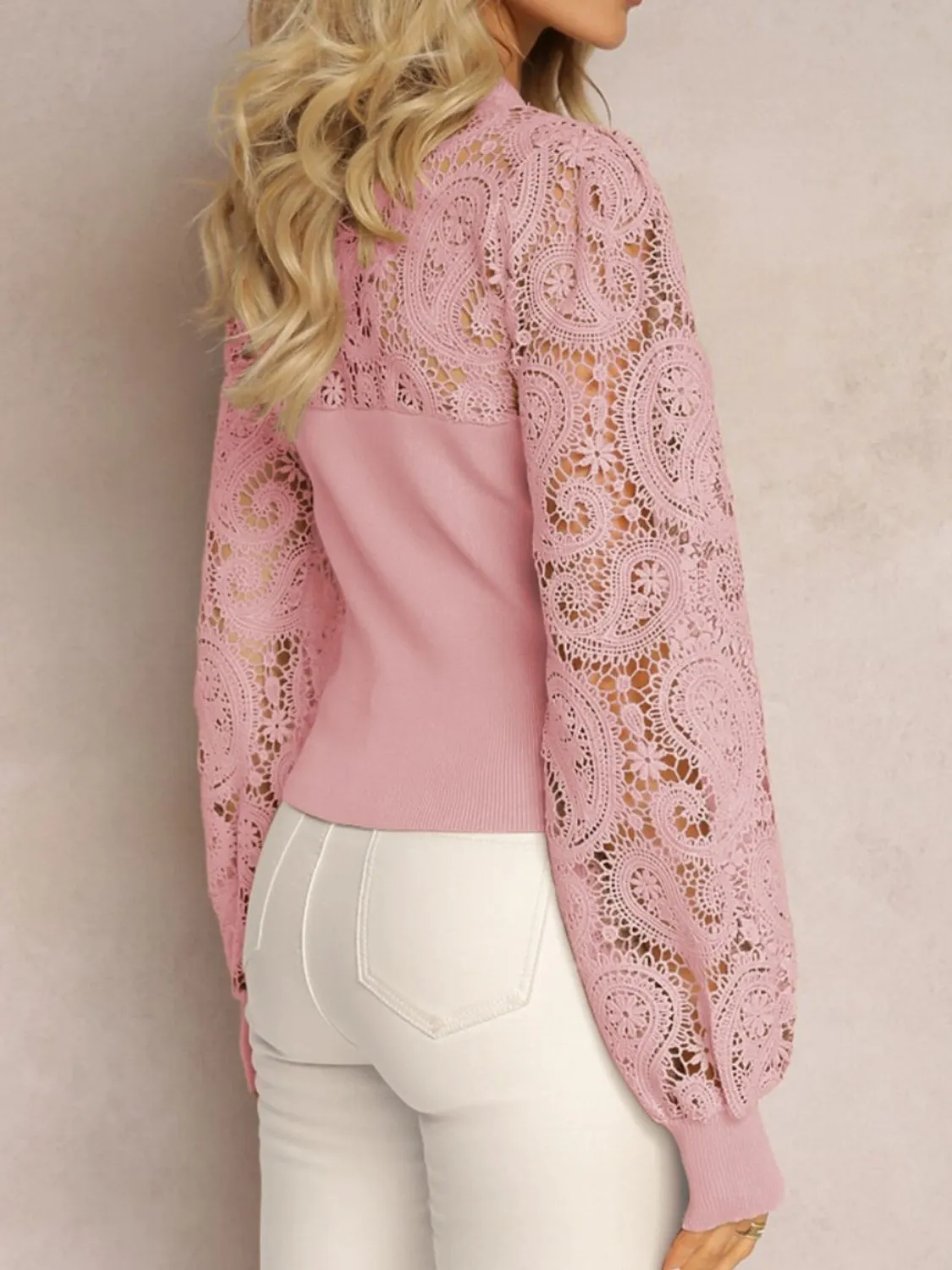 Lace Round Neck Long Sleeve Top